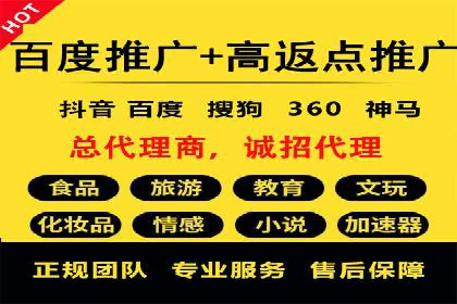 某电商平台的成功案例：信息流优化师的策略与成果